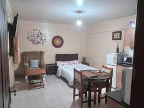Budget Studio Apartment - with Fast Wifi and Netflix